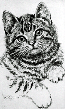 Der Neue Tommy (The New Tommy)