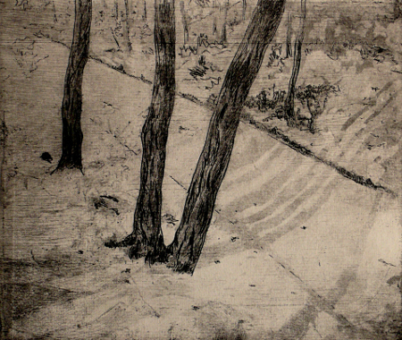 Trees II or Central Park, N.Y.