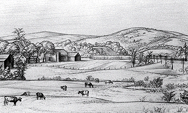 Farm Scene