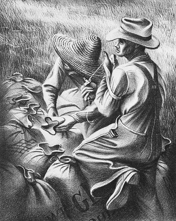 Missouri Wheat Farmers