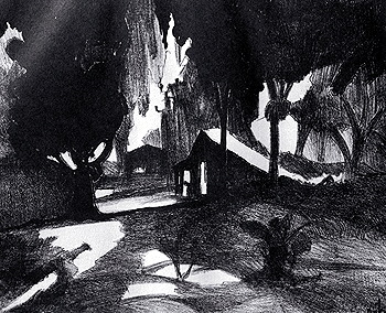 Moonlight in Jungle