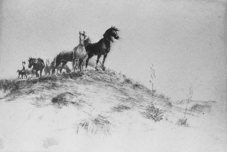 Mustangs
