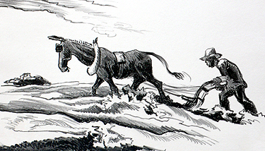 Plowing It Under or Ploughing