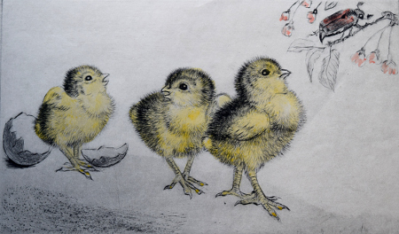 Mai Kucken (May Chicks)