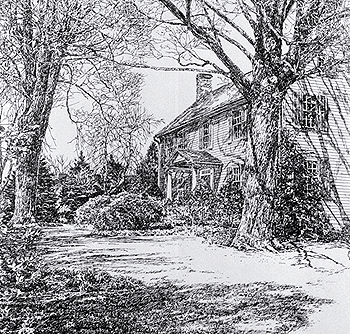 Sugar Maples in Spring, Kappel Residence	