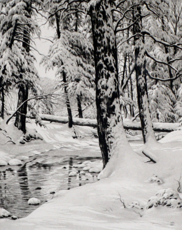 Symphony in White