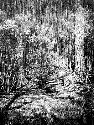 The Tapestry of Spring