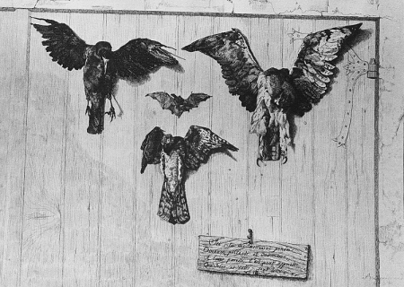 Le Haut d'un Battant de Porte -The Top of the Door