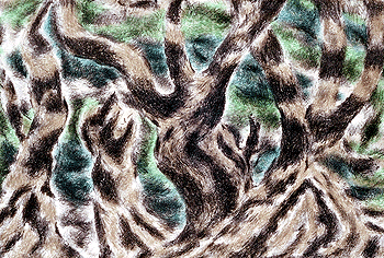 Tree Trunks