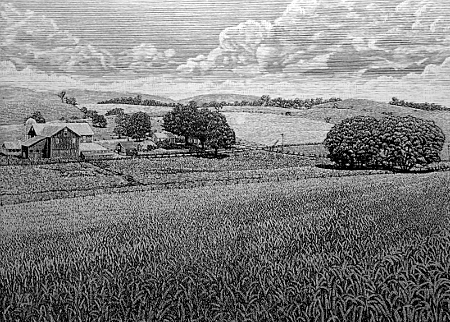 Nittany Wheat Fields