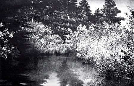 Corbett's Pond (Port Clyde, Maine)