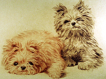 Wer Kommst da? (Who's Coming?)