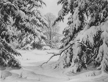 Winter Interlude