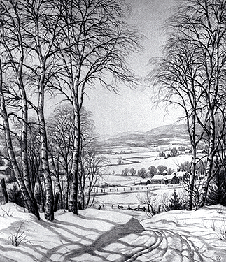 Winter Sunlight