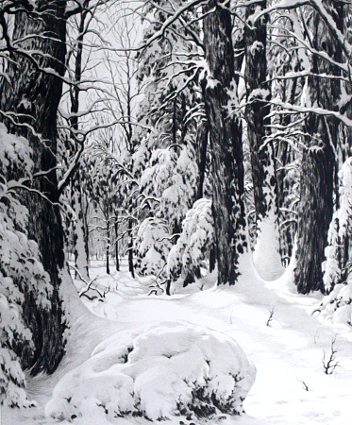 Winter Morning